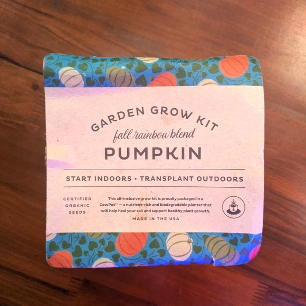 Modern Sprout Pumpkin Grow Kit 🎃